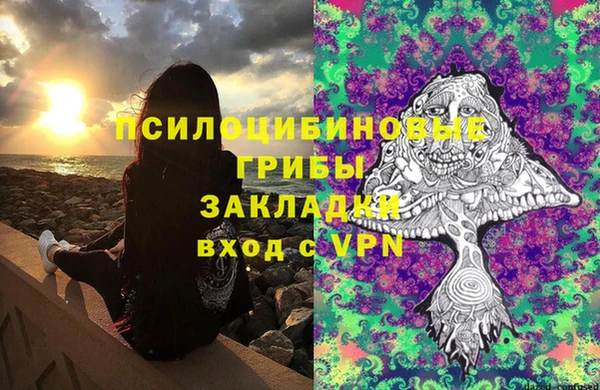 МДПВ Алексин