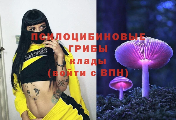 МДПВ Алексин