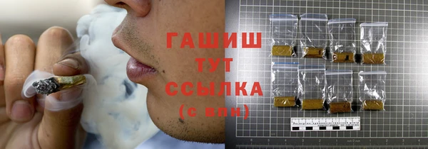 индика Алзамай