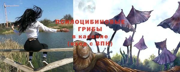 индика Алзамай