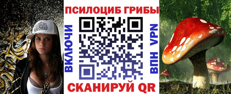 Галлюциногенные грибы Psilocybe  Кызыл 