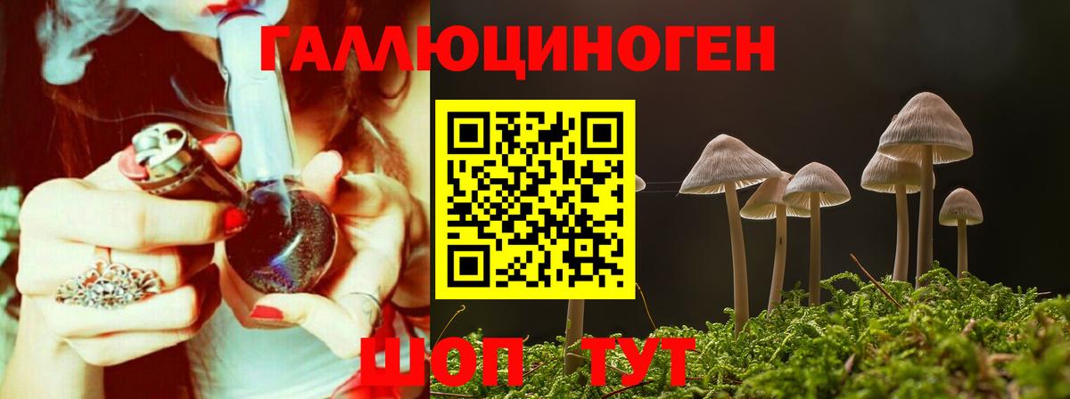 Кызыл  Галлюциногенные грибы Psilocybe  Галлюциногенные грибы MAGIC MUSHROOMS  Вход с VPN 